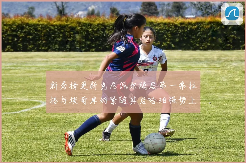 新秀榜更新克尼佩尔稳居第一弗拉格与埃奇库姆紧随其后哈珀强势上升至第四位