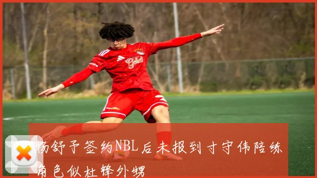 杨舒予签约NBL后未报到寸守伟陪练角色似杜锋外甥