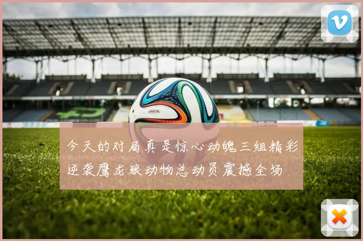 今天的对局真是惊心动魄三组精彩逆袭鹰龙狼动物总动员震撼全场